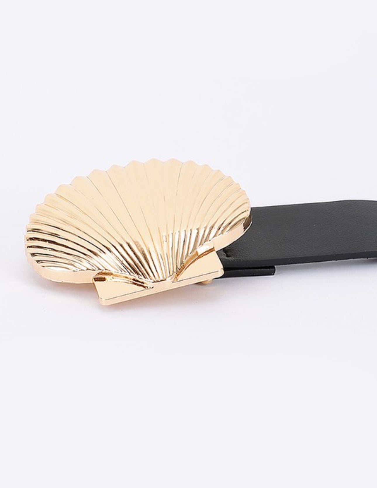 Sea shell 1.5”