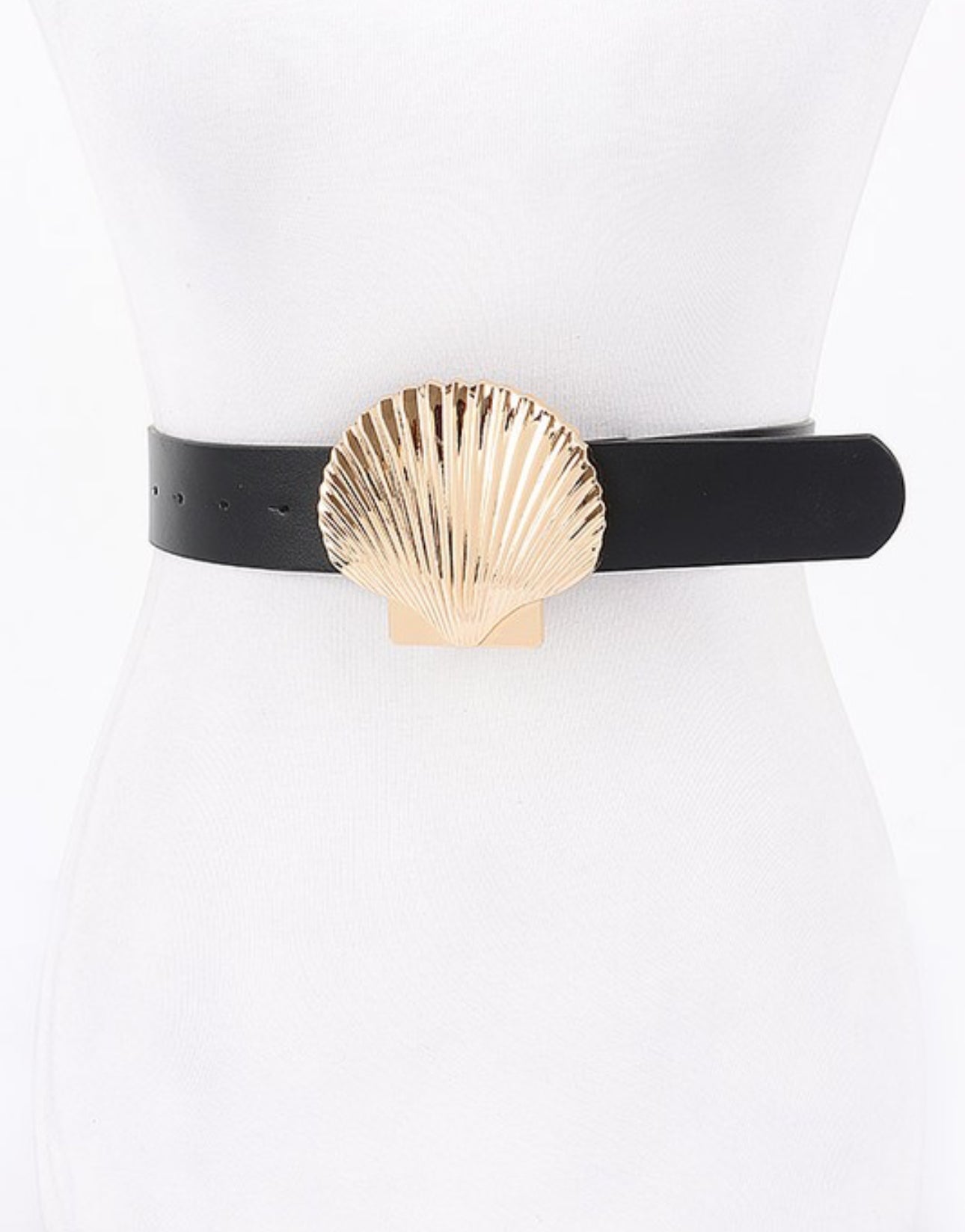 Sea shell 1.5”